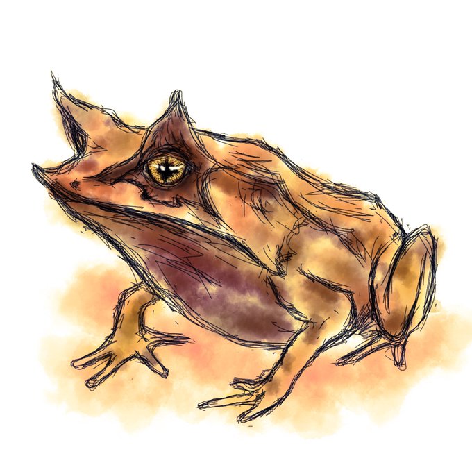 ミツヅノコノハガエルのtwitterイラスト検索結果 ミツヅノコノハガエルのtwitterイラスト検索結果