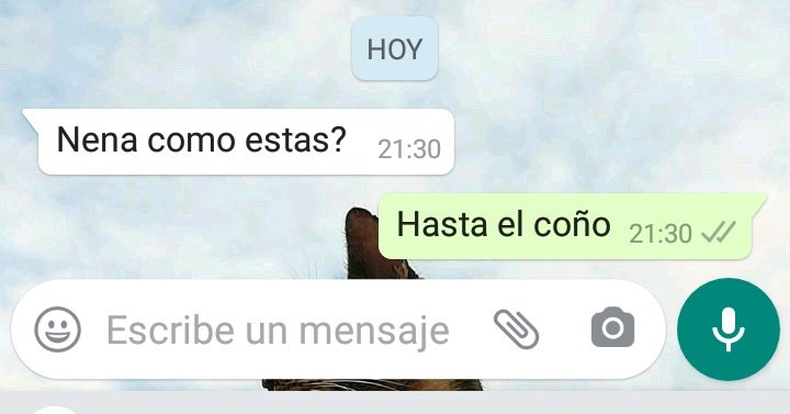 hoy estoy así