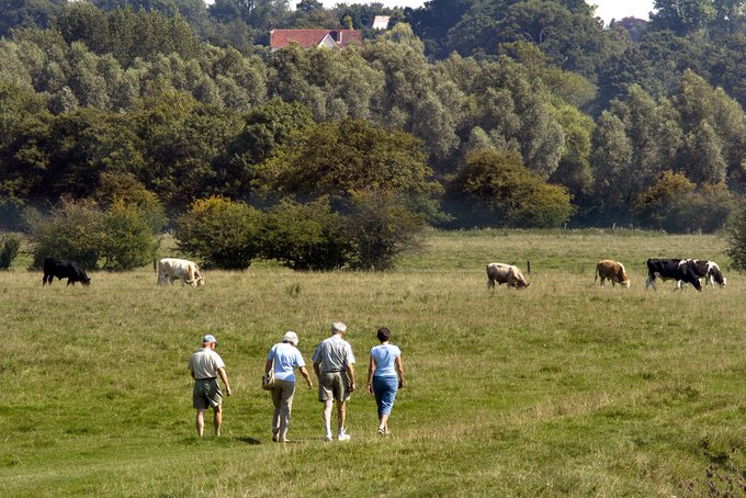 Seeing as it's  #TakeAHikeDay H is for Hiking! All the great walks we've featured so far on our  #AtoZofLockdownColchester can be found on our website here:  https://www.visitcolchester.com/walks&nbsp;