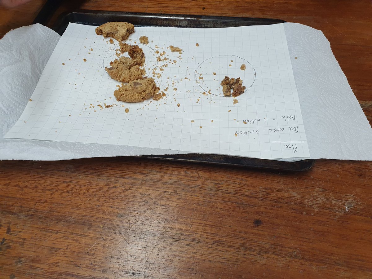 KinlochbervieScience tweet media