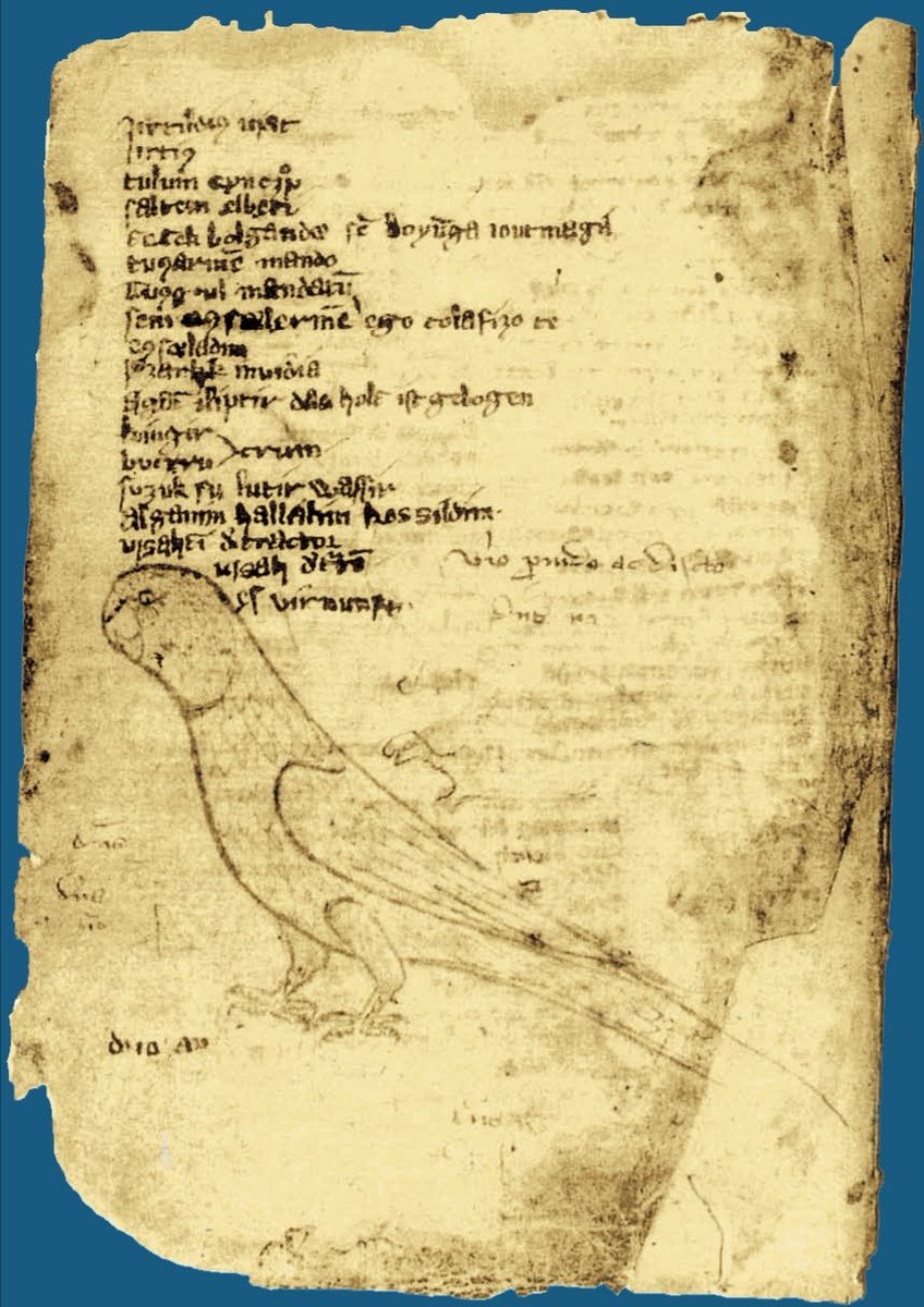 mebyadadergi's tweet photo. Codex Cumanicus'tan bir bilmece: "Tengriden tüşgen toqmacık, dört ayaqlı maymaçıq." 🤔 Tahminleri alalım. ☝️

* Türkçenin önemli sözlüklerinden #CodexCumanicus Kıpçak Türklerinden hareketle İtalyanlar ve Almanlar tarafından 14. yüzyılda derlenmiş iki bölümlük bir eserdir. https://t.co/3zxQOopzDb