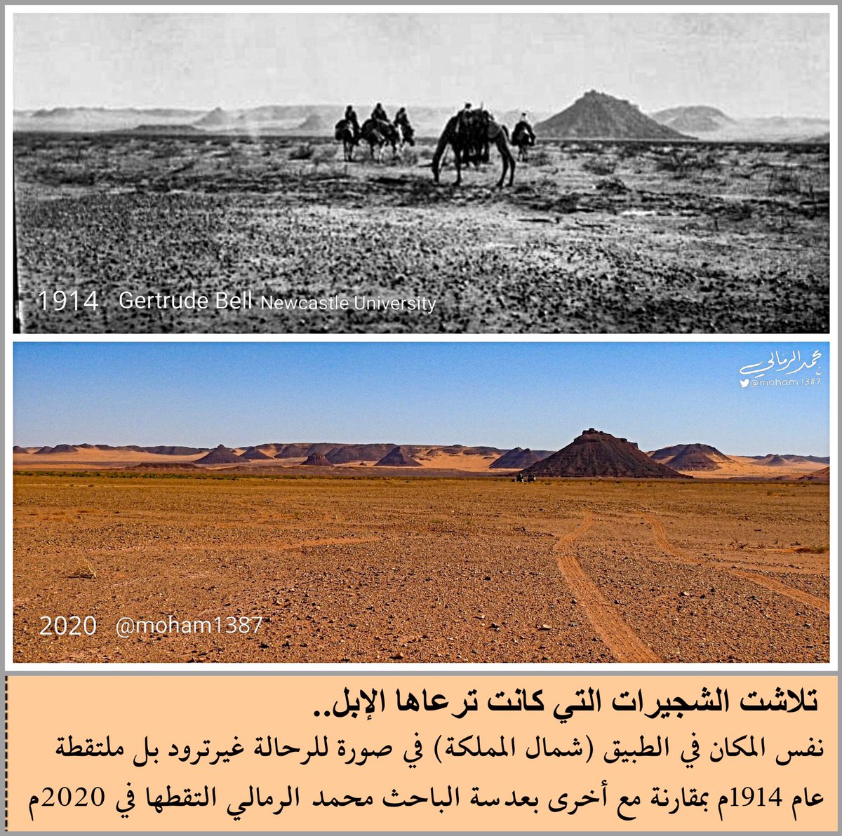 "كيف صار المكان بعد 100 عام".

الباحث محمد الرمالي <a href="/moham1387/">محمد عتيق الرمالي</a> مُتميز في إخراج صور من كتب الرحالة الأجانب؛ الذين عبروا الجزيرة العربية، ويضعها في مقارنة بصور حديثة يلتقطها بعدسته وبنفس زاوية تصوير الموقع قبل  أكثر من 100 سنة.

عمل يدل على مهارة في البحث الدقيق والجهد الميداني.