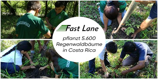 Fast Lane Switzerland tweet media