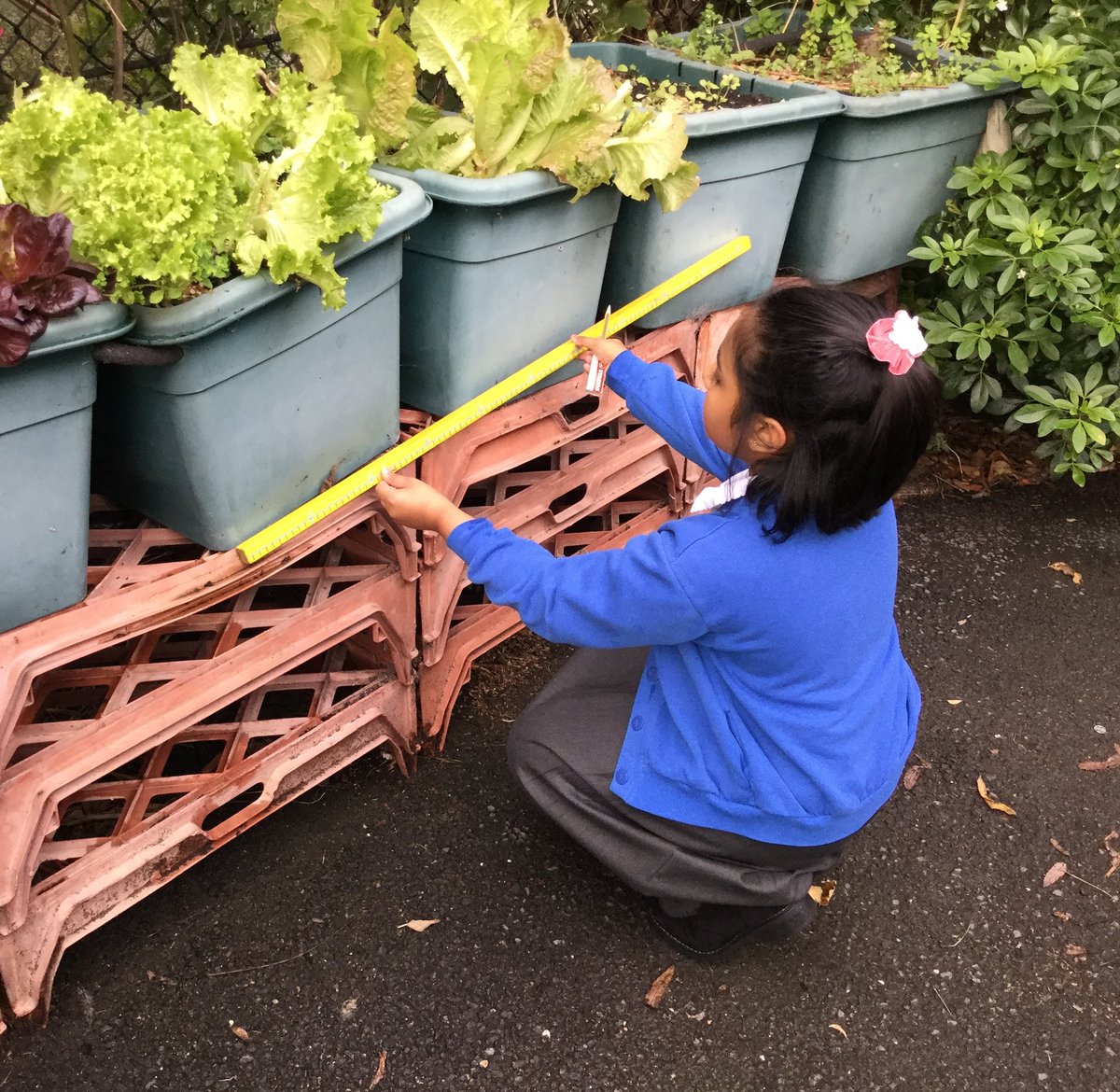 Our new topic this half term is 'Weighing and Measuring'. In the kitchen, pupils are using their maths skills to convert recipes and mastering electronic scales and measuring spoons; outside they are working on challenges e.g. area and perimeter. #foodeducation #outdoorlearning