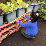 Photo by Rhyl Kitchen Classroom (@rhylkitchen)