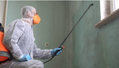 FloodSchool's tweet photo. Last course of the year Mould Restoration live stream via Zoom - 2 days no official exam 14th-15th December £200 + VAT

https://t.co/9HVJyl1CE7 
#mouldrestoration #floodrestoration #waterrestoration #PropertyManagement https://t.co/HRFqERX6si