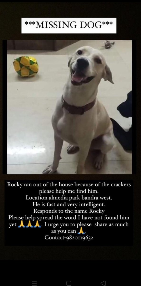 Kartikgupta0124's tweet photo. @avc_201 @streetdogsof @straydogsfeeder @SnoopDogg @MissingDogHelp @MissingDogHelp @MissingDogsScot @pfaindia @Pedigree_India @Aditya_wwa @raww_ngo @samdhanango
#missingdog #finddog #lostandfound #Help #needhelp #bandra #bandrawest https://t.co/x7SO9Q0gSP