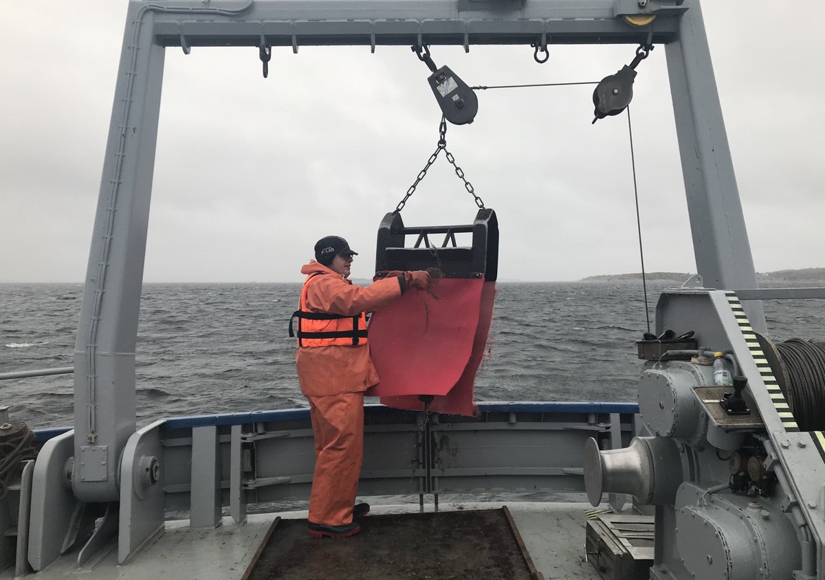 On Nereus with ⁦@ulfjo⁩ dredging for marine #meiofauna and #macrofauna today