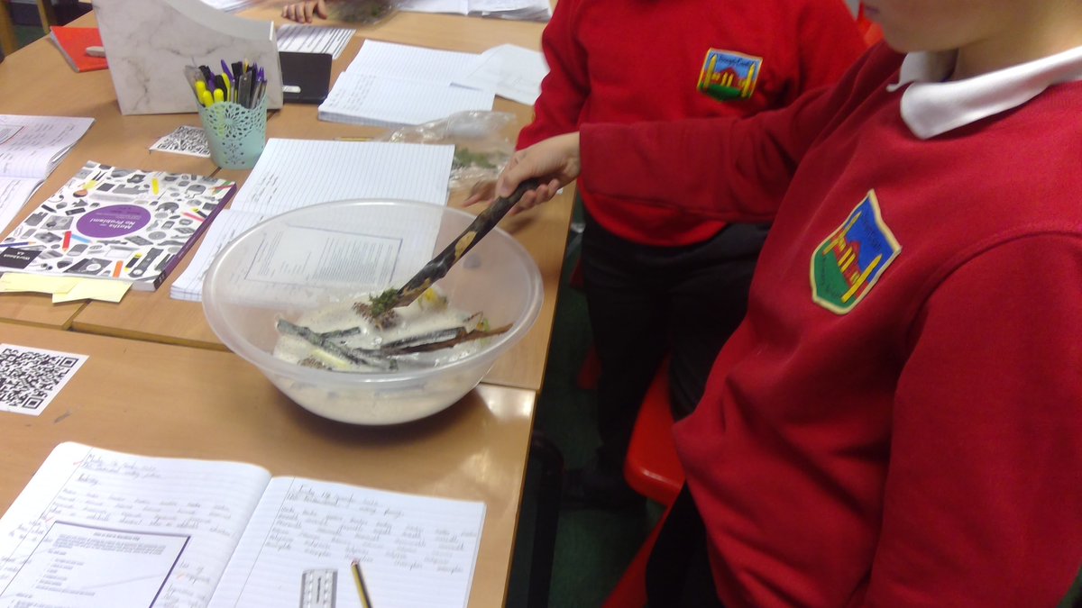 cashprimary's tweet photo. 4FV are having loads of fun making their very own Forestry Frobscottle drink inspired by their reading of the BFG. We enjoyed foraging for our ingredients and watched it fizz using vinegar and Baking soda!@TeachDahl @roald_dahl #frobscottle #fun #BFG #RoaldDahl https://t.co/bMAiXwT9sz