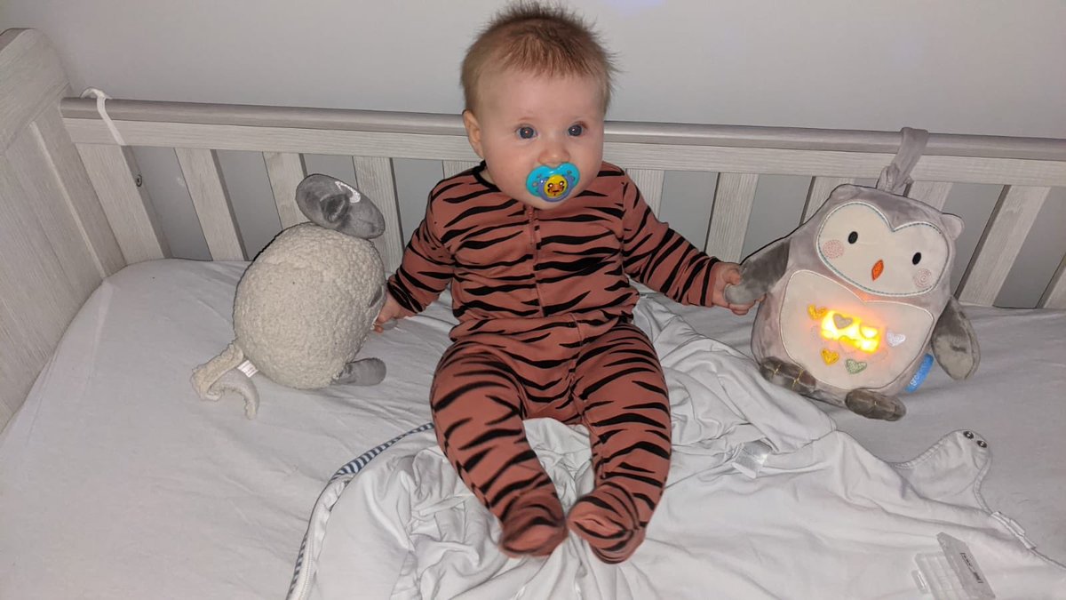 Delighted this wee guy has been able to bring some joy in these tough times. He brings so much happiness to my life. <a href="/captheatres/">Capital Theatres: Festival, King’s & Studio</a> #randolfisingers #virtualteadance #morethandementia