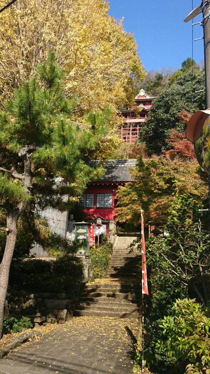 佐野市観光協会 佐野市紅葉情報 11月17日火曜日撮影 出流原弁天池 色づきが進んでいます 佐野市 紅葉 佐野市の 紅葉情報は観光協会hpへ T Co Myothx6opm