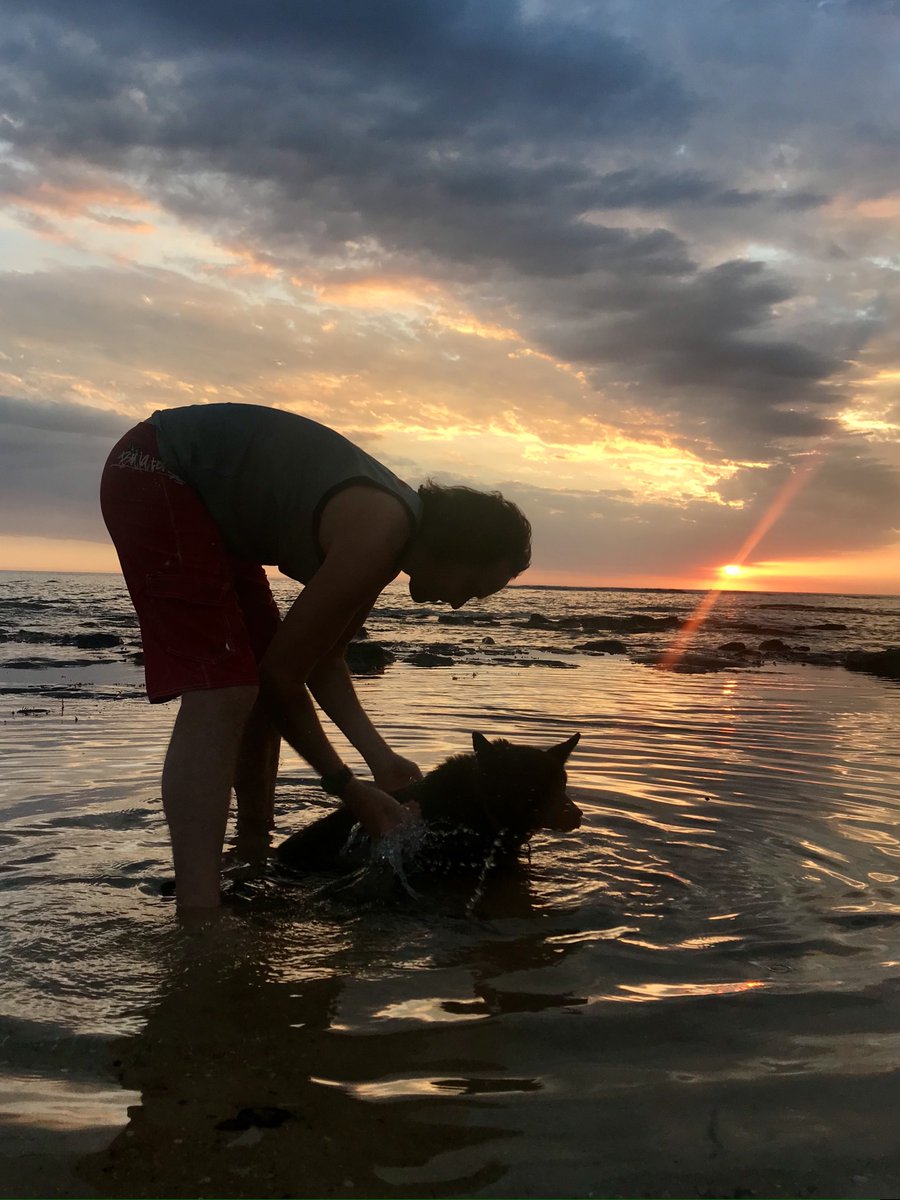 itsmarcusryan's tweet photo. Goodnight my love. My best friend Lucie. 18 & ยฝ years you had a blessed life on the farm and beach. You were loved by and loved everyone. Today was one of the hardest days of my life saying goodbye to you. Thank you for being there when I needed it most. I'll miss you.โค๏ธ#RIPLucie https://t.co/zeAJCA6u3a