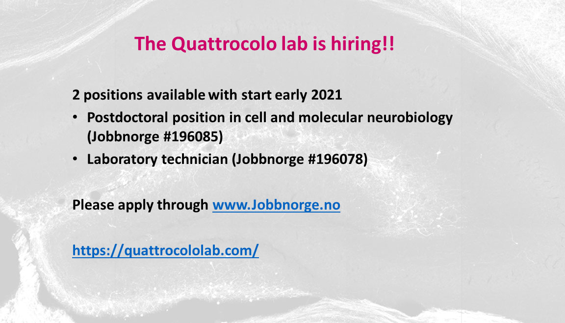Dr. Giulia Quattrocolo (@gquattrocolo) on Twitter photo If you love developmental neuroscience, you are eager to discover how circuits of the hippocampal formation assemble, and want to join the prestigious <a href="/KISN/">KIM ASHLEY</a>, then it's your lucky day! 2 positions available in my group. Please RT and spread the word. If you love developmental neuroscience, you are eager to discover how circuits of the hippocampal formation assemble, and want to join the prestigious <a href="/KISN/">KIM ASHLEY</a>, then it's your lucky day! 2 positions available in my group. Please RT and spread the word.