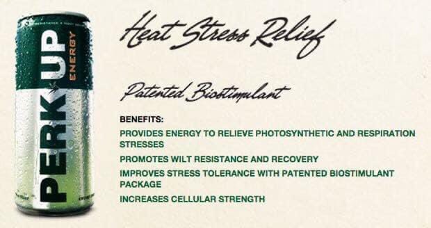 Turfcare Australia tweet media