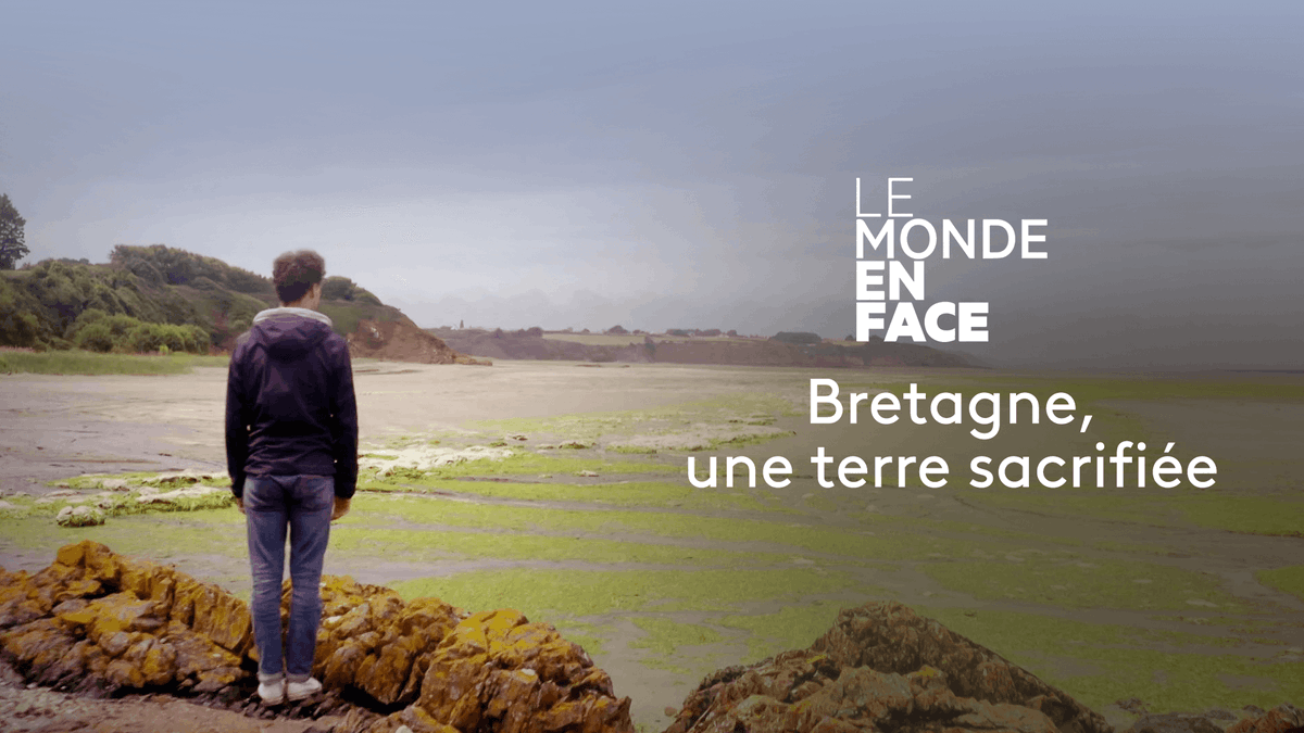 FranceTVNature's tweet photo. La Bretagne, première région agro-alimentaire d'Europe fait face à des dégâts environnementaux et humains causés par un modèle agricole défaillant...

📺 #LMEF : "Bretagne, une terre sacrifiée", ce soir à 20.50 et déjà disponible sur @francetv ►https://t.co/5kqee2FTTC https://t.co/vcmpXO9RUi