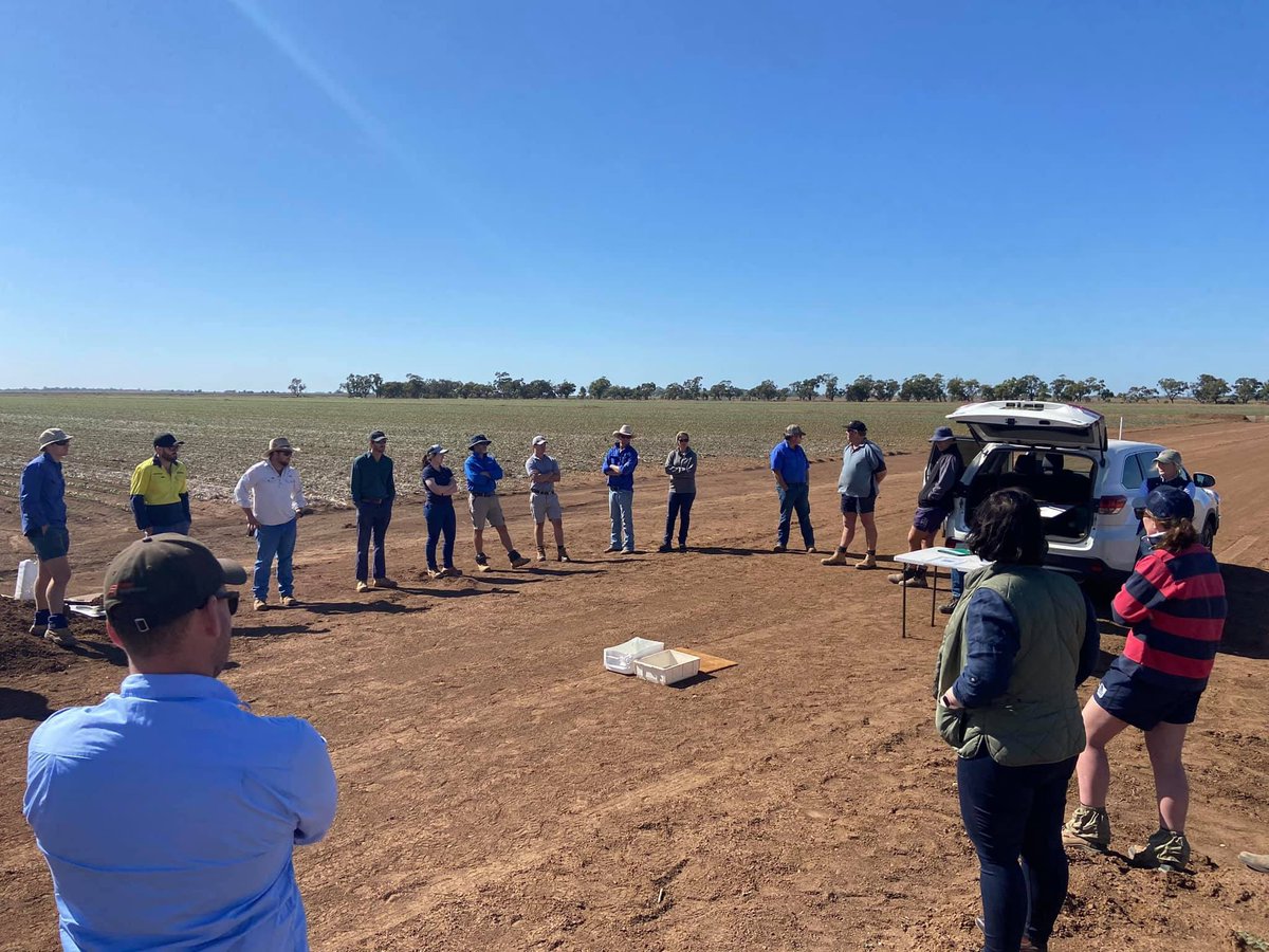 kokeeffe tweet media