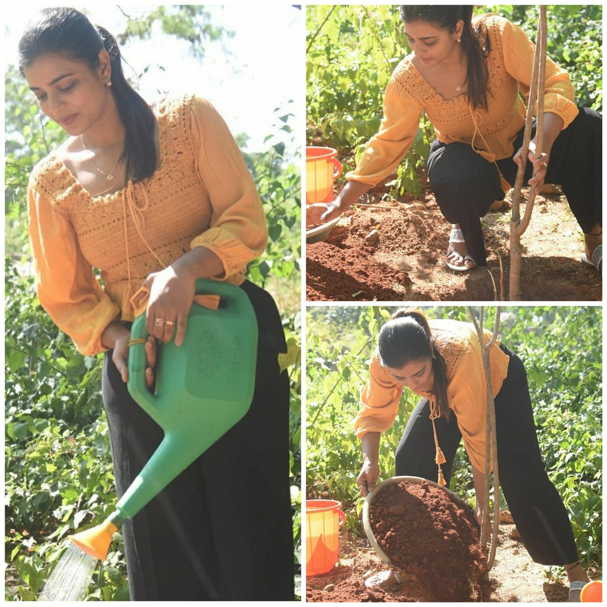 femina_tamil's tweet photo. #aishwaryarajeshh carrying forward the #greenindiachallenge 

#plantatree #plantinglife @aishu_dil @proyuvraaj #greenchallenge #gogreen https://t.co/dsLEjjmy9E