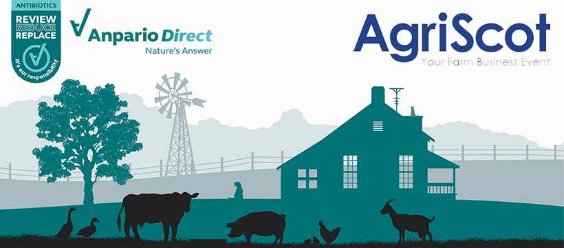 AnparioDirect's tweet photo. Join us at AgriScot 2020 online tomorrow, 18th of November! Visit our virtual booth to find out how leading products #OregoStim &amp; #OptomegaPlus, will support the health and performance of your #herd.  Don't miss out!

Register for free and join us here: https://t.co/JnXwBfymvH https://t.co/tAzUaZpds8