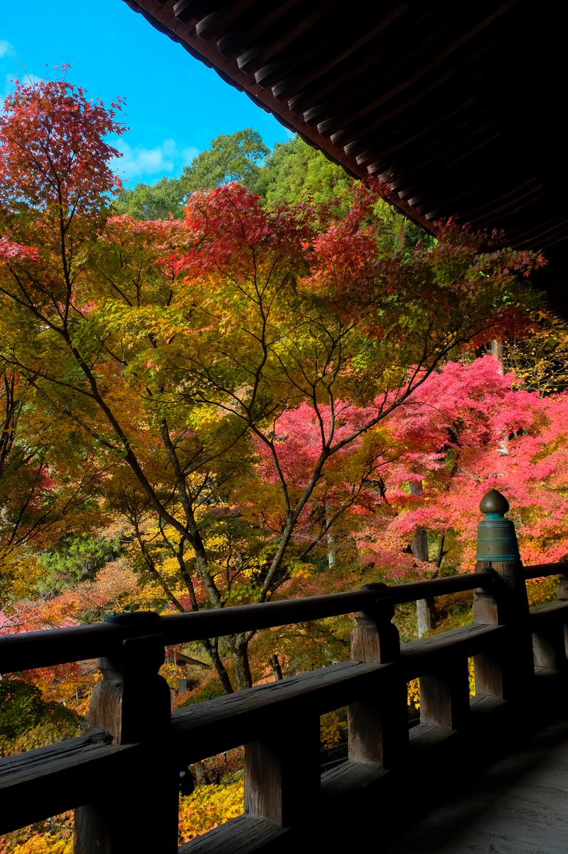 播州清水寺 播州清水寺