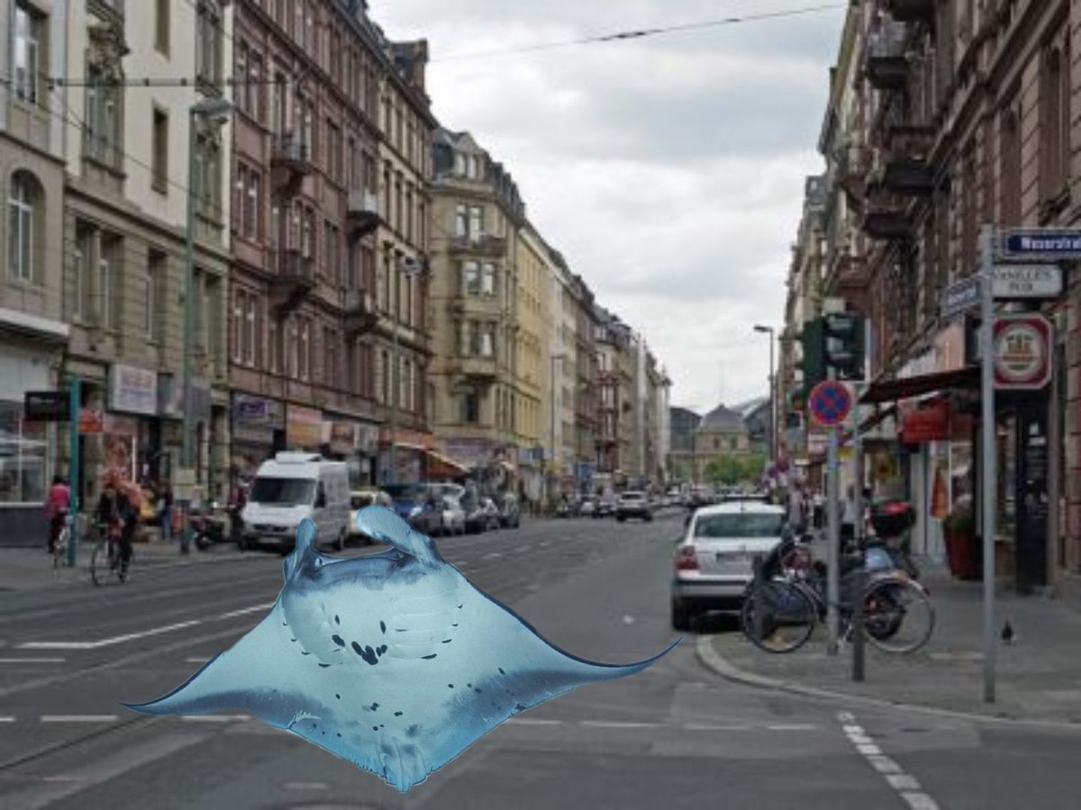 Slavik Slawa Slaw Twitter