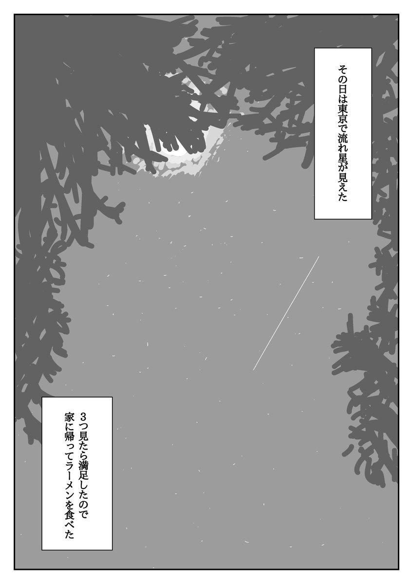 今日しし座流星群がみえるかも!
1年前はふたご座流星群を見てたみたいなので再掲! 