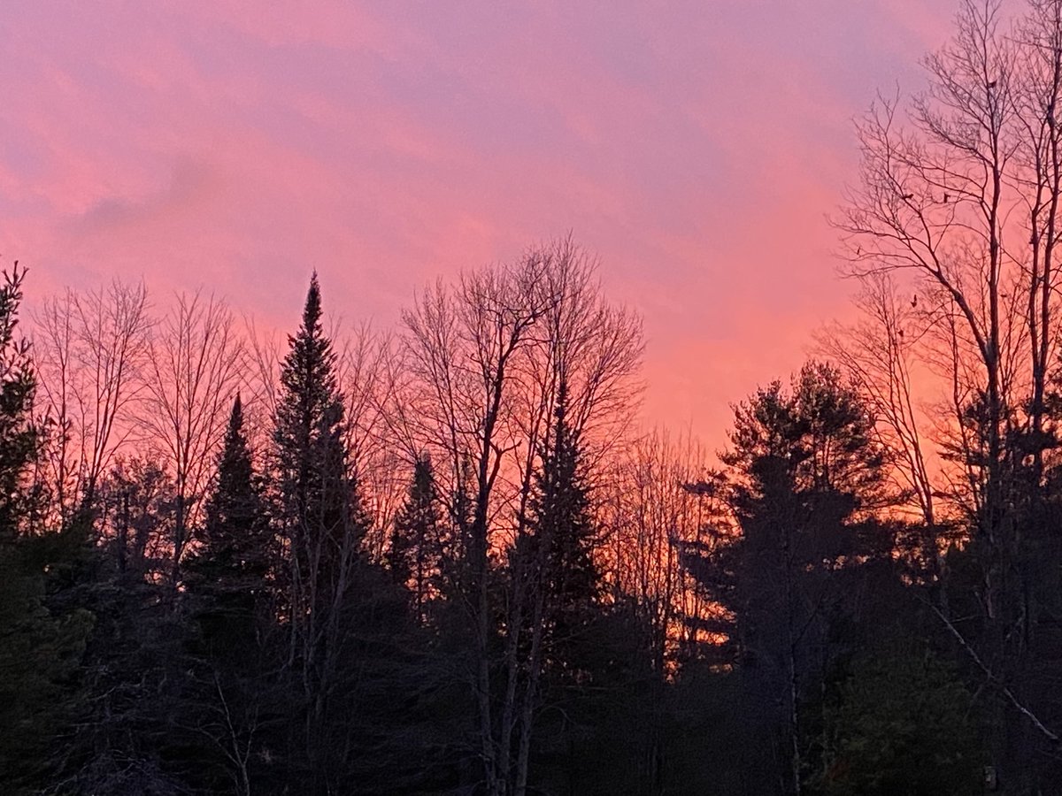 hollyfiola's tweet photo. Evening skies in NH❤️ https://t.co/WkbgUZl79R