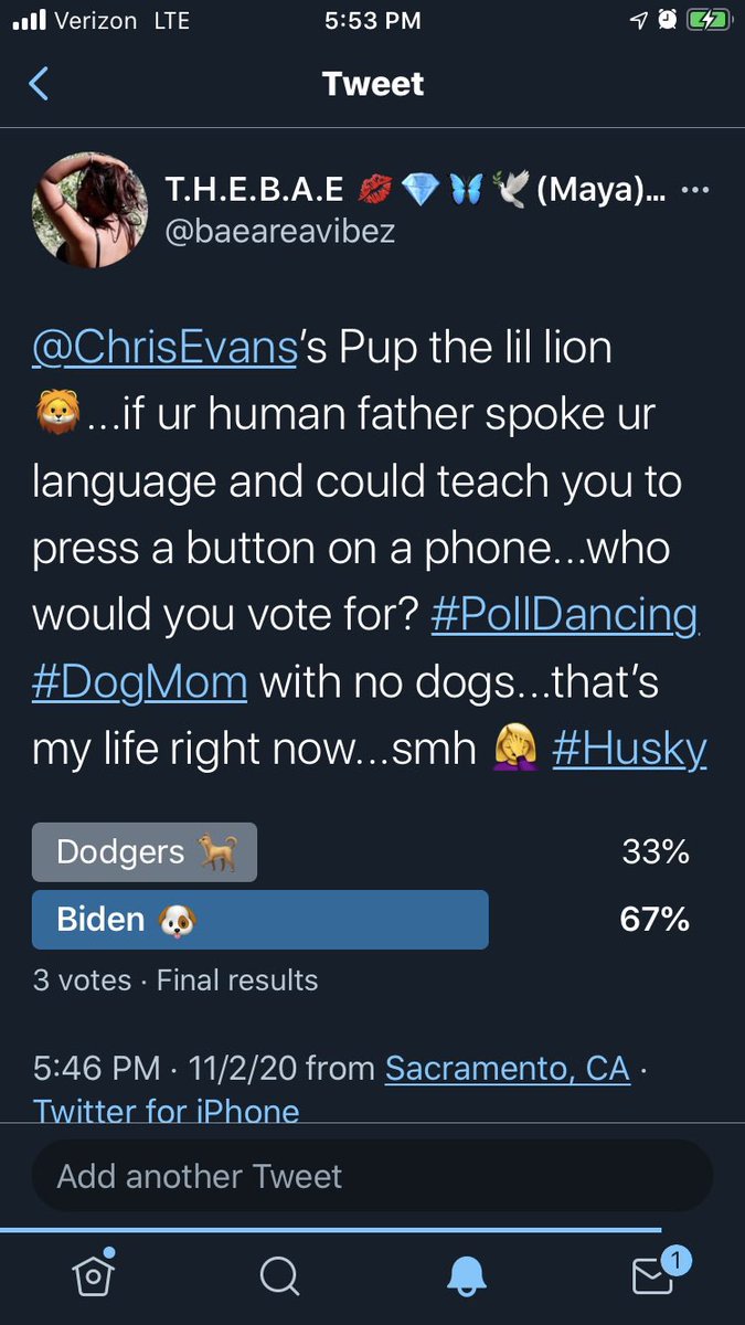VoterInChieff's tweet image. Like #FuckADuck he always #VOTESFORDODGER 🤣 🤦‍♀️ #KISSESFROMBAE? Or #DOGKISSES?