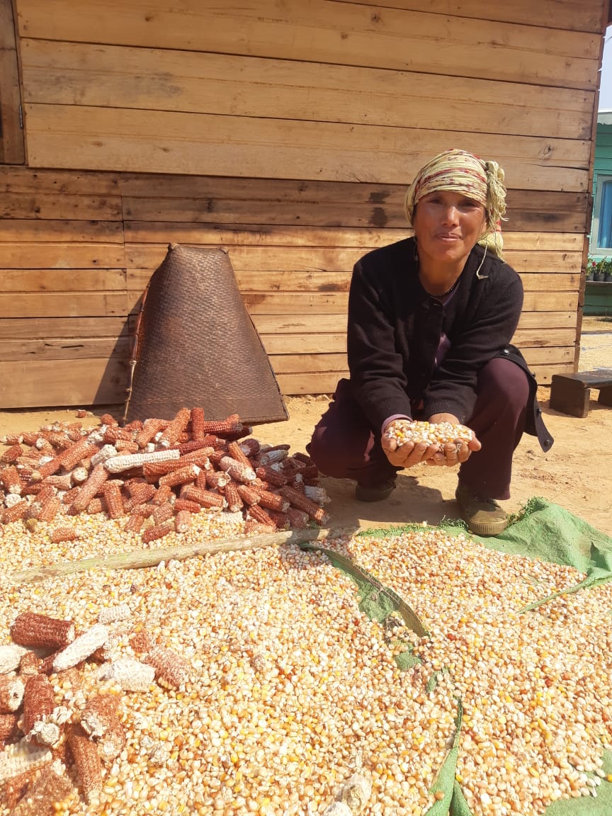 grampreneurs's tweet photo. #Seedersonthefield

Sumiho sent us these photographs of a farmer who is part of a SHG called 'Women of Change'. While the exercise is to educate, enable and empower women grampreneurs, we are excited that the concept of #SeedingGrampreneurs is received with enthusiasm. https://t.co/U4sIdYiu9C