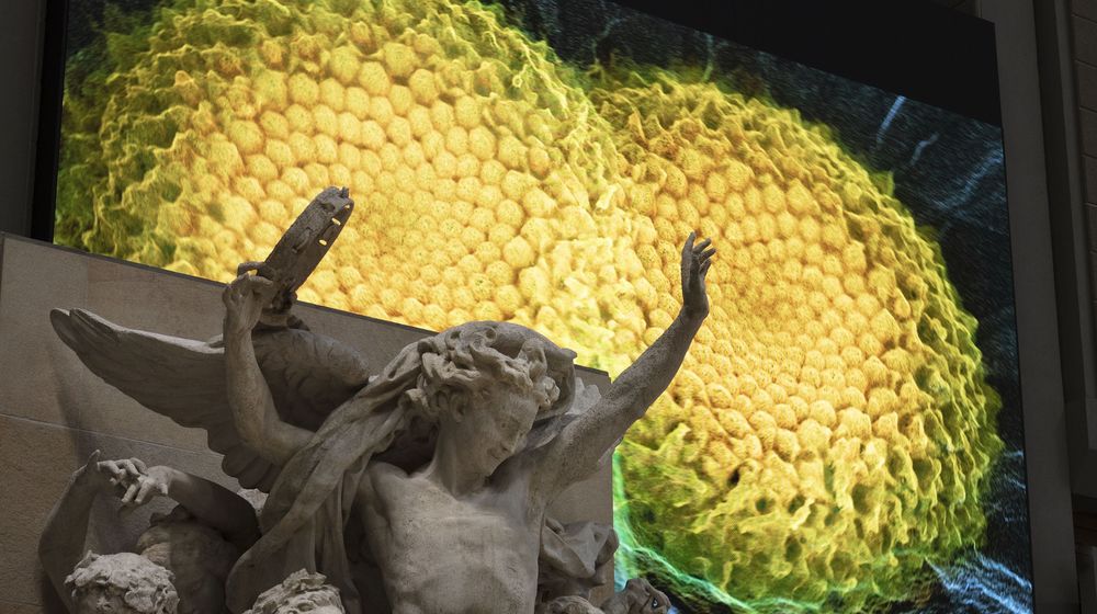 "Je me suis toujours intéressé à l'observation, à la vision, et aux outils qui augmentent notre vision du réel...

#artificialisthefilm ⬇️