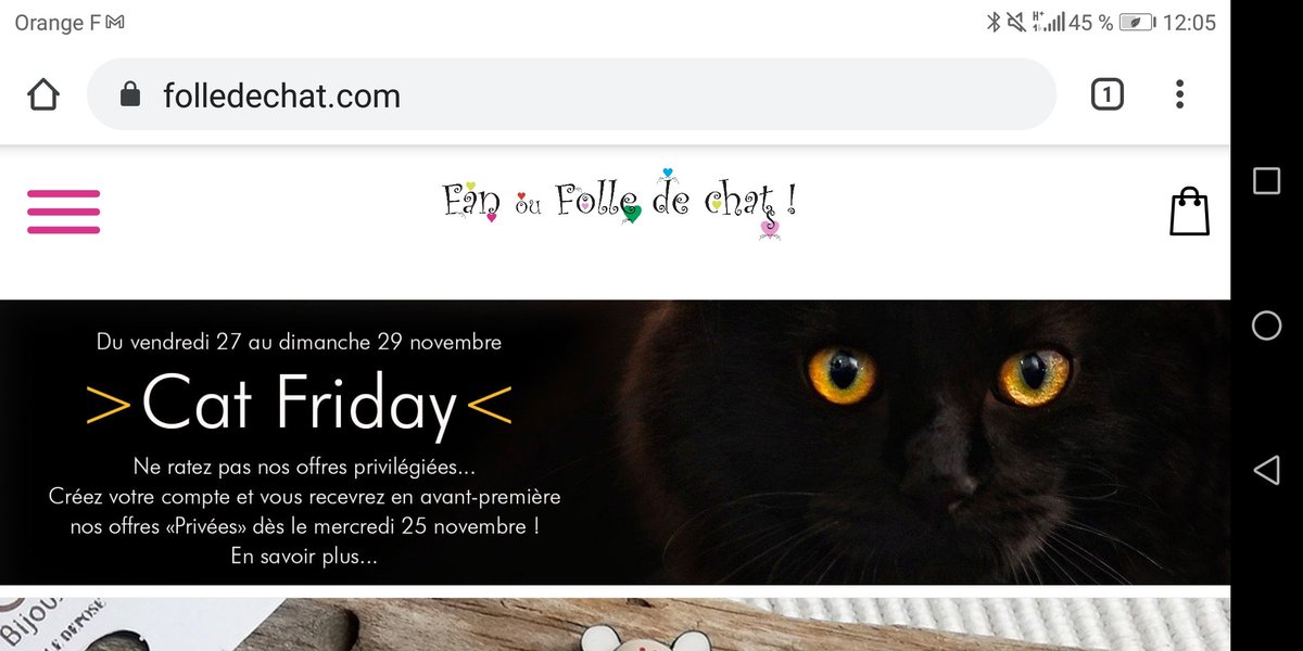 Fan Ou Folle De Chat Folledechat Twitter Fan Ou Folle De Chat Folledechat Twitter