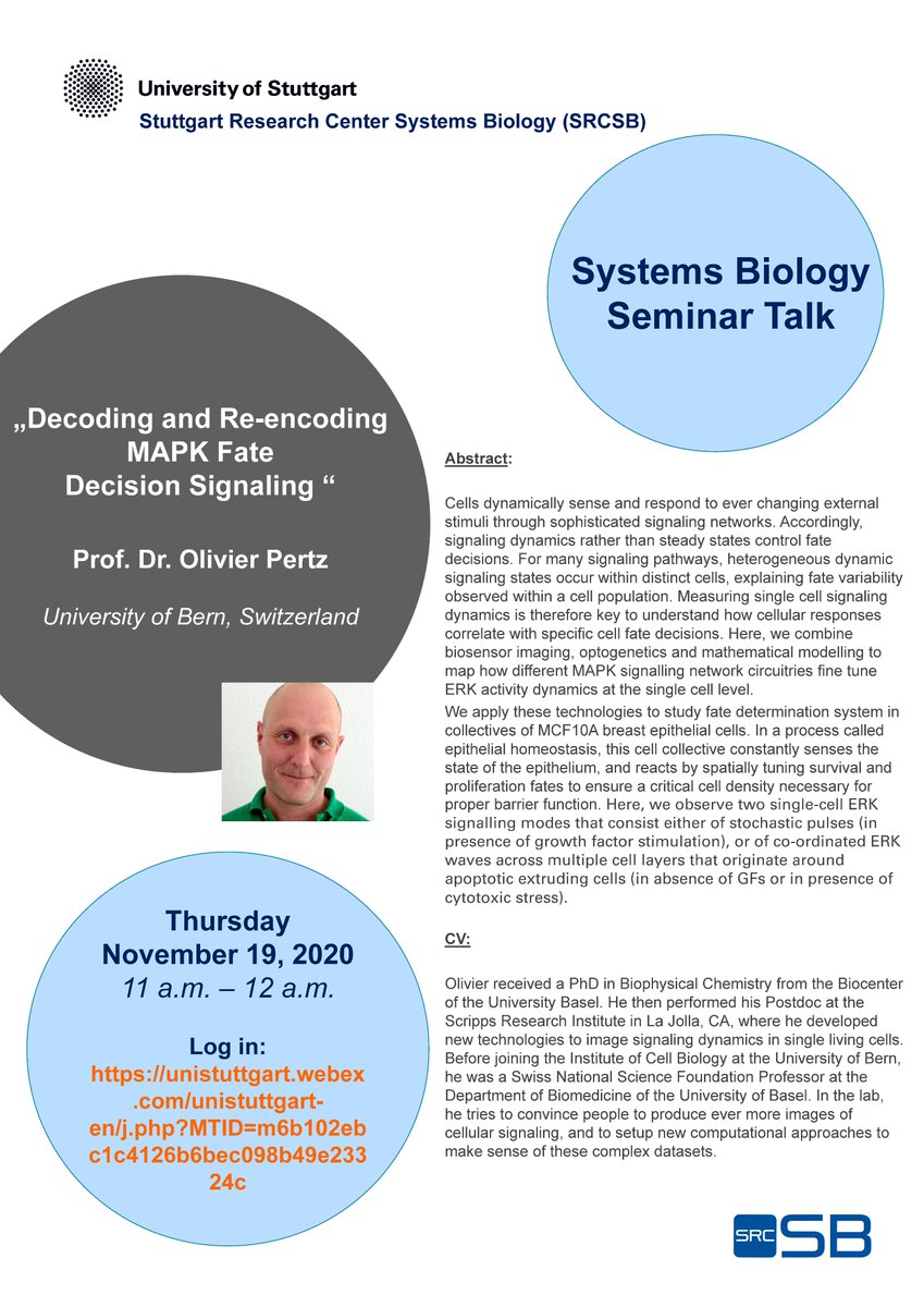 srcsb's tweet image. The #SRCSB is happy to announce a talk of Prof. Dr. Olivier Pertz, #University of Bern to deliver a seminar online entitled „Decoding and re-encoding MAPK fate decision signaling“. The Seminar functions as a regular discussion &amp;amp; interaction forum and is open to all.