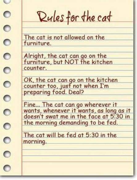 AlysonMeadowcr1's tweet image. Just to keep us all smiling!