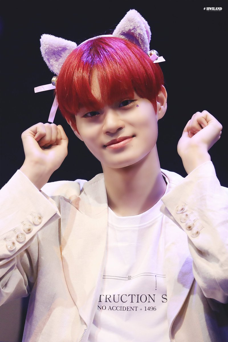 HWI_Land's tweet photo. 190630 DMC팬싸인회

귀여운 우리 대휘 ✊🐱✊

#AB6IX #에이비식스
#이대휘 #LEEDAEHWI #DAEHWI https://t.co/T6EzQWzNzM