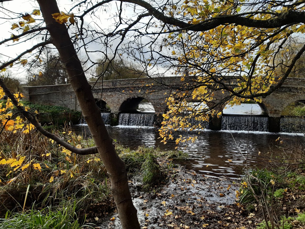 steviegolding_'s tweet photo. Finally visited #footscraymeadows #fivearches November 2020 beautiful π§‘π https://t.co/VSPLq59utk