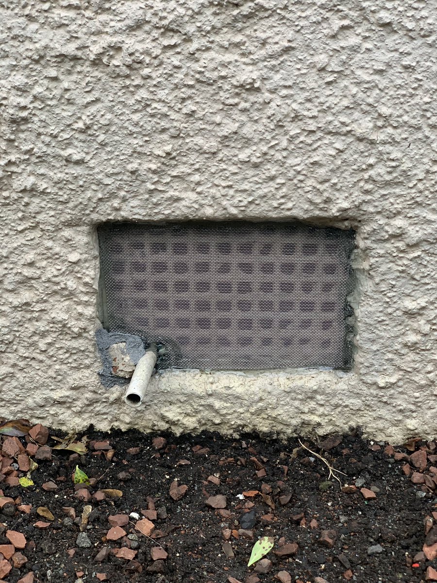 BarricadePPEdin's tweet photo. Thoughts on these mousemesh vents?

Our client opted for the stainless steel mesh vents for the front of the property and we used a fine wire mesh in other areas. The mousemesh vents also come in a range of sizes and colours to suit all.
#rodentproofing #edinburgh #pestcontrol https://t.co/tHM0ktYNX2