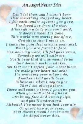 Hayley McGregor 💙 tweet media