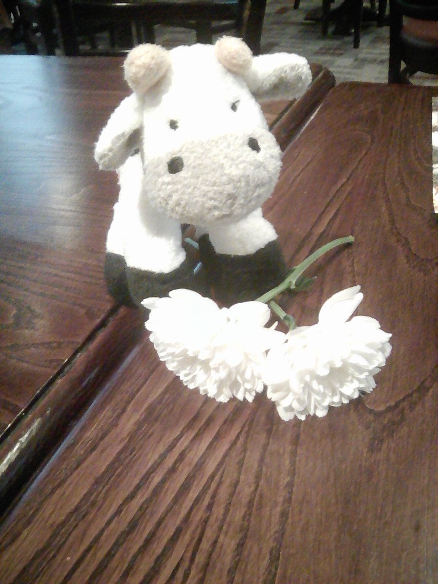 Hayley McGregor 💙 tweet media