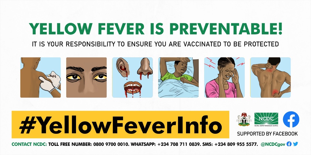 #YellowFever is preventable, GET VACCINATED.

If you observe symptoms such as:

☑️Sudden fever
☑️Yellowness of the eyes
☑️Darkness of urine
☑️Bleeding from the nose, mouth and ears

Report immediately to the nearest healthcare facility.