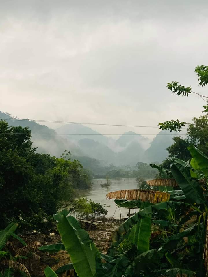 ArturoBolio's tweet photo. En plena emergencia por las inundaciones en #Tabasco...
Bien vale un #BuenosDias con estas imágenes del corazón de la sierra en #Tacotalpa
Es el ejido #Poana y son las fotos de César Fabián https://t.co/BJEtnzpFFk https://t.co/dSsMuEX0Zq