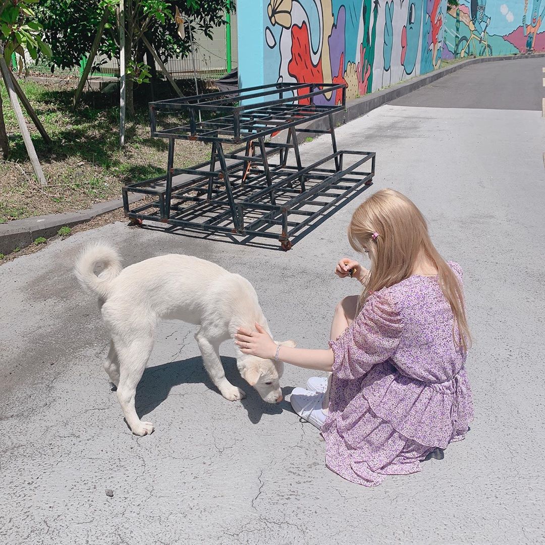 yeojin  with  dogs  🥺🥺