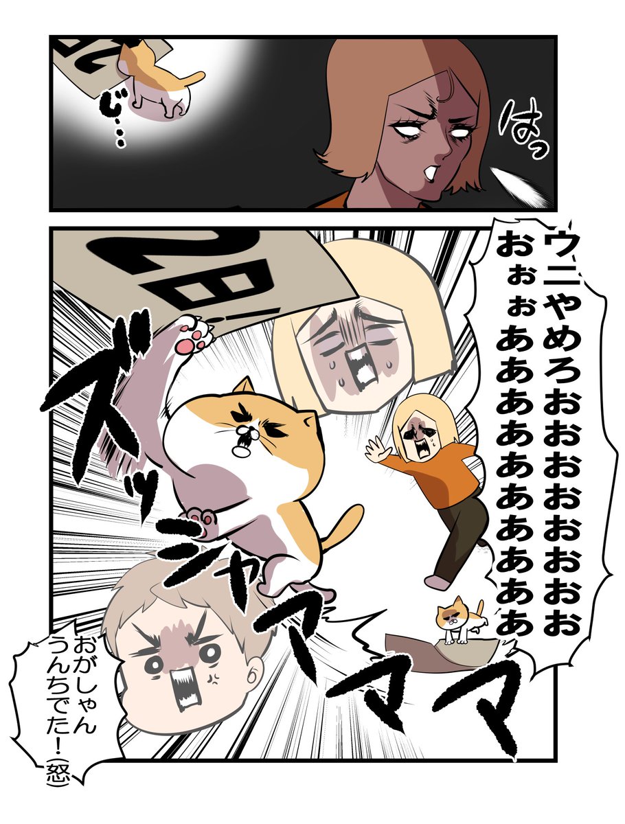 11/19(木)本発売まであと2⃣日‼️????

Amazonのご予約↓↓↓
https://t.co/x9N563A6s2 