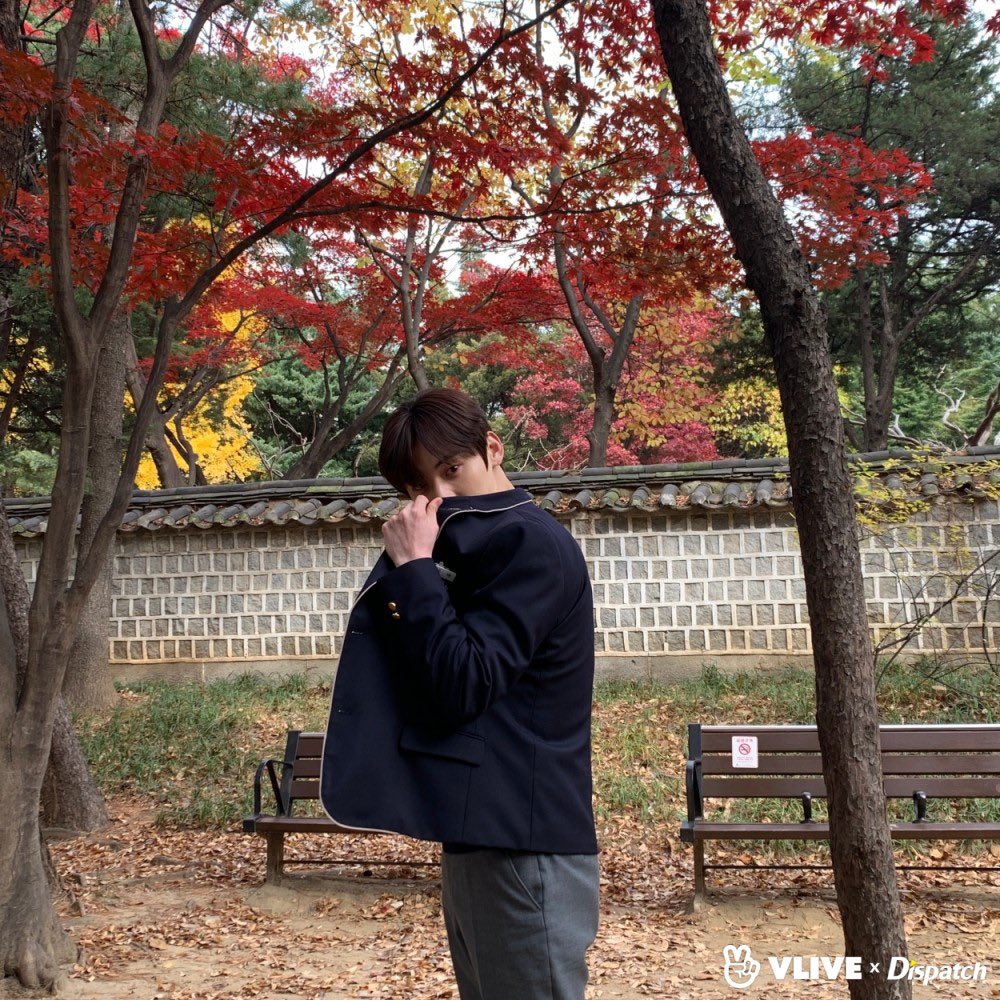 うんたん tweet media