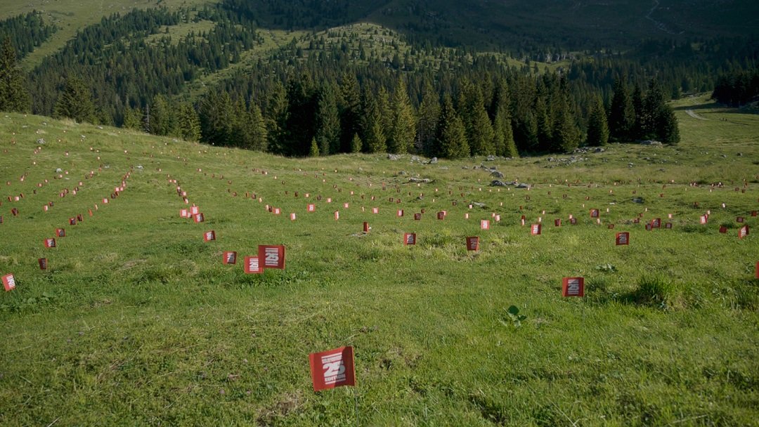 IL DOCUFILM DELLA 25^ EDIZIONE STORICA DEL NOSTRO FESTIVAL stasera alle ore 20:40 in prima tv su <a href="/SkyArte/">skyarte</a>. 
Le immagini bellissime dei concerti in alcuni dei luoghi più belli de <a href="/IlTarvisiano/">Il Tarvisiano</a>, il nostro comprensorio, davvero unico,  al confine tra Italia, Austria e Slovenia.