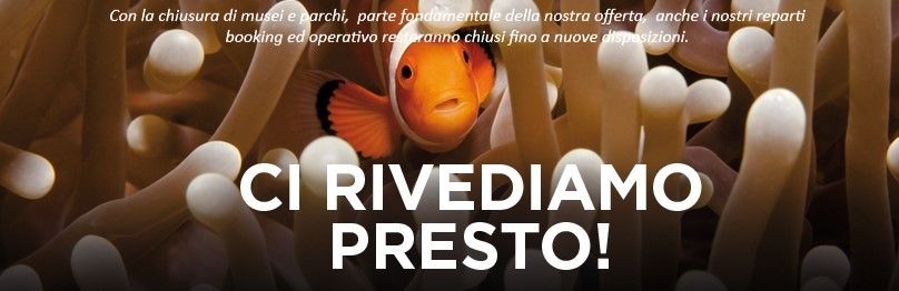 Nell'attesa di farvi vivere nuove emozioni 👏😍 continuate a seguirci sulle nostre pagine social 😉. Ci rivediamo presto!