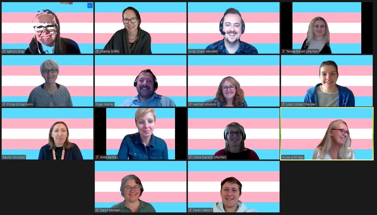 A flag may only be a little thing, but its a little thing that signals our support, allyship and commitment to our #Trans and #Nonbinary staff and students. #TDoR #TransAwarenessWeek 

Proud to be <a href="/PlymUni/">University of Plymouth</a>.