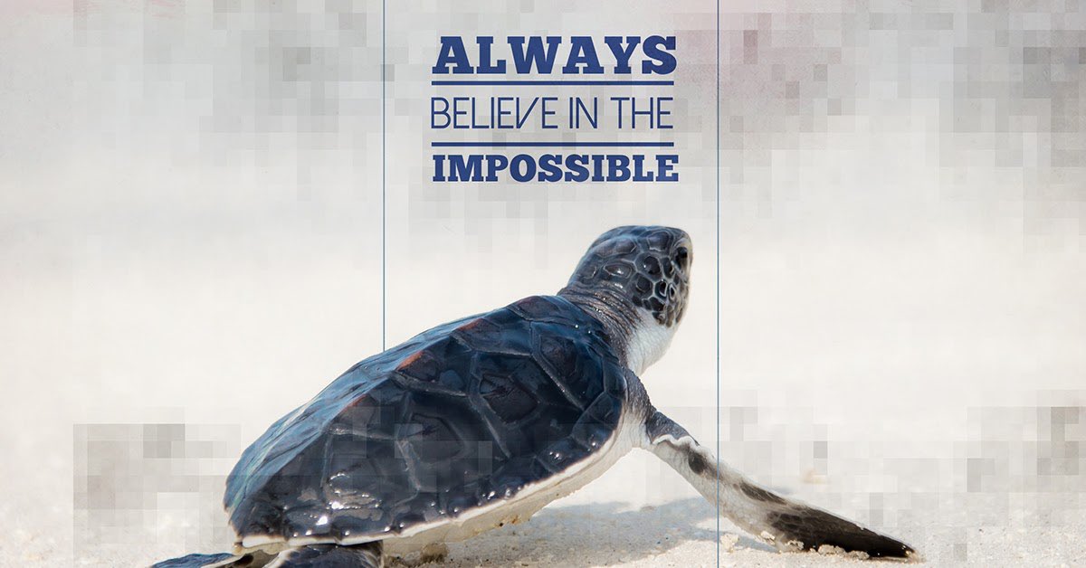 ebedwardnow's tweet photo. Just believe #tuesdaymotivations https://t.co/FXosbieMPG