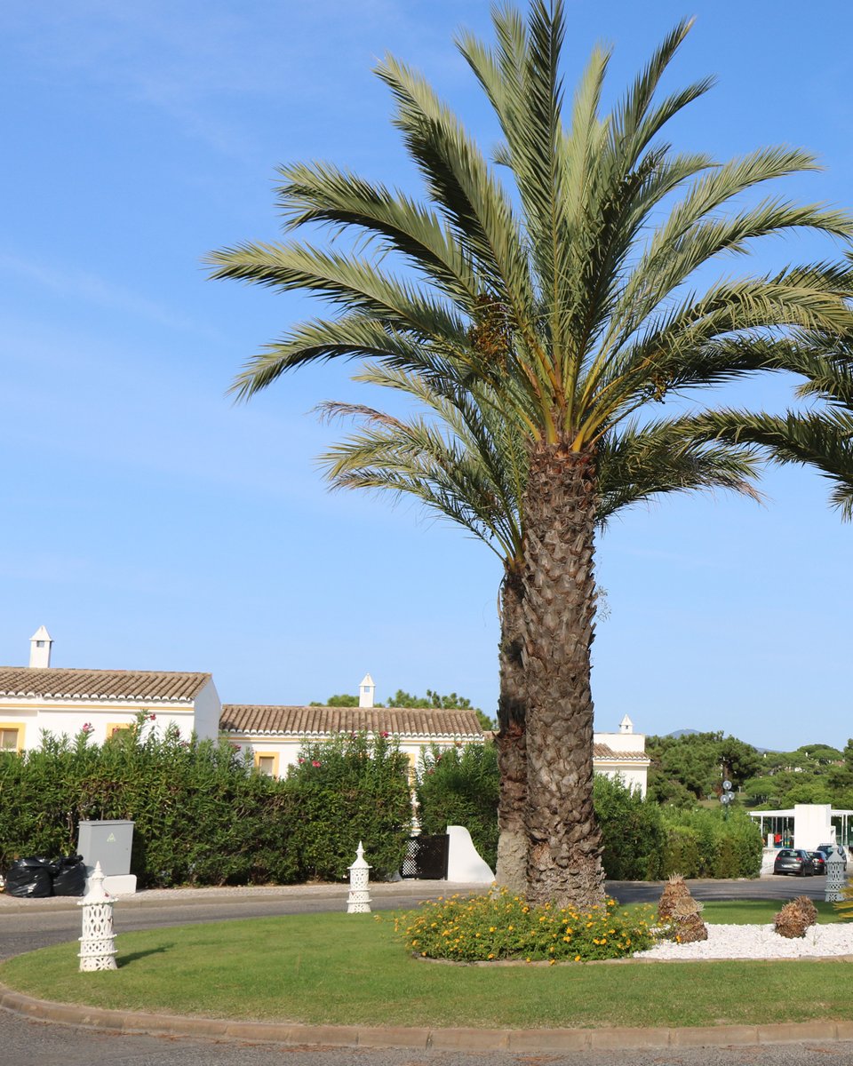 4SFairways's tweet photo. We love autumn in the Algarve. Everything feels fresher and there is a sense of calm that comes across us. Just like nature, it’s the perfect time to take a moment to reset. https://t.co/1dmPRblItc