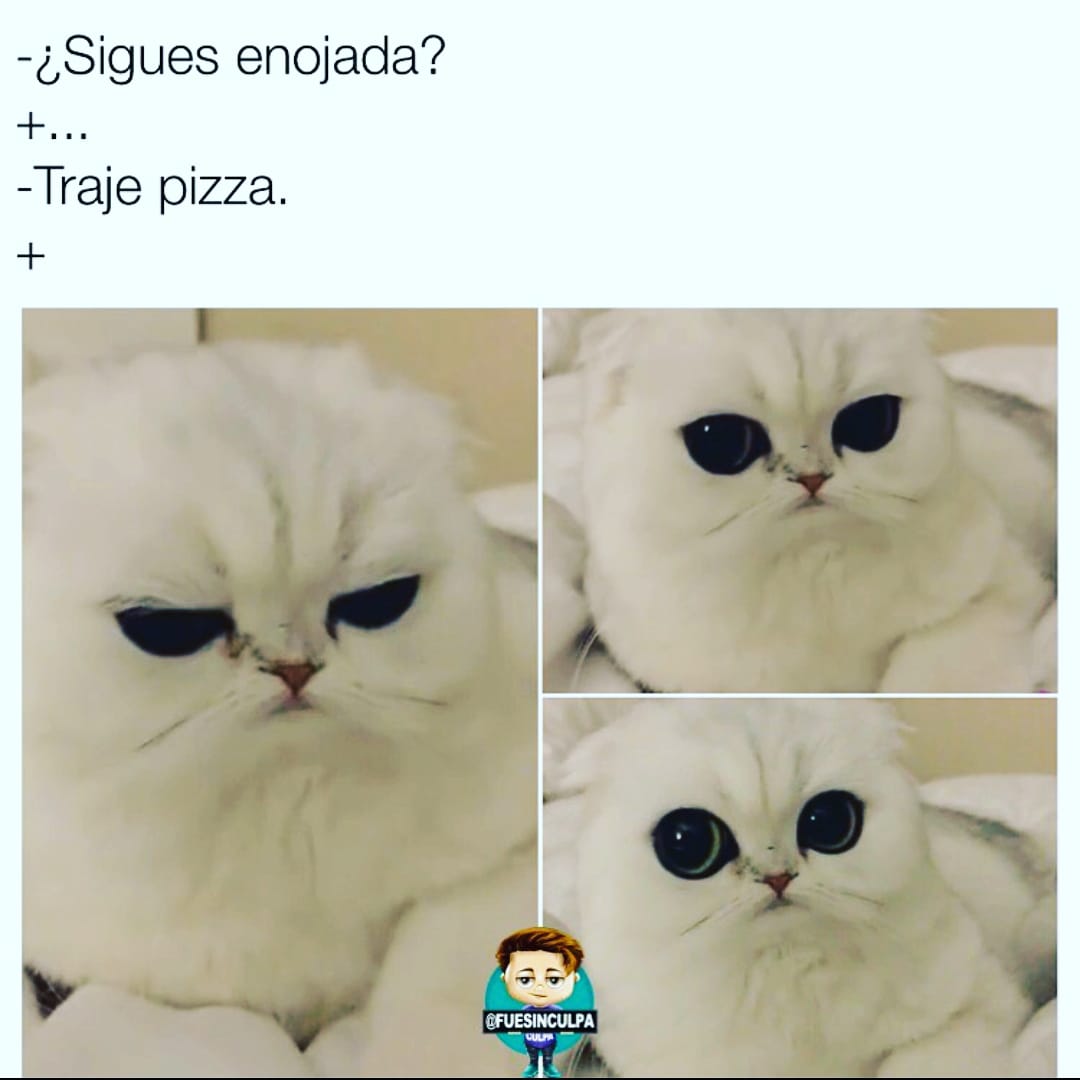 pizzadeliverycl's tweet photo. #memedeldia https://t.co/iaI77mzG0l