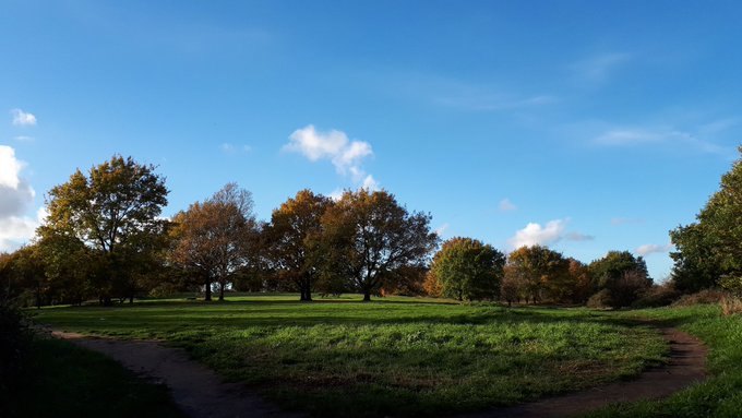 H is also for the very accurately named  #HillyFields. It's got hills! It's got fields! It's got very nice walks actually, with some great views of the town skyline. Check it out!  #AtoZofLockdownColchester https://www.visitcolchester.com/things-to-do/hilly-fields-p1190251