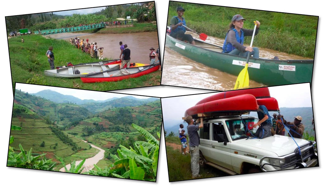 Kingfisher Journeys tweet media